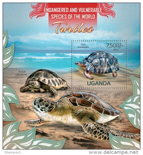 Uganda. 2013 Turtles. (102b) - Schildkröten