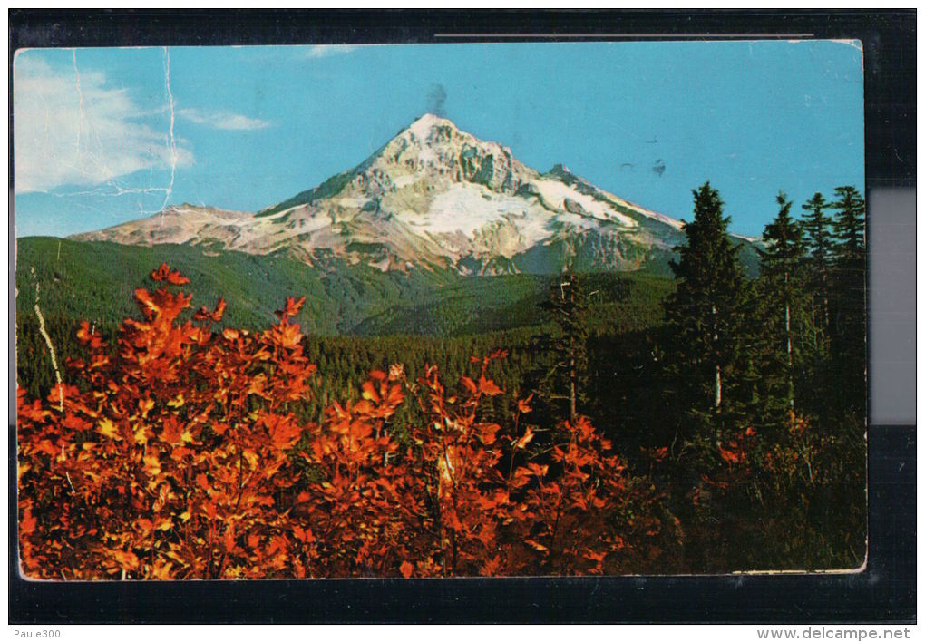 Oregon - Portland - Hood From Lolo Pass - Portland