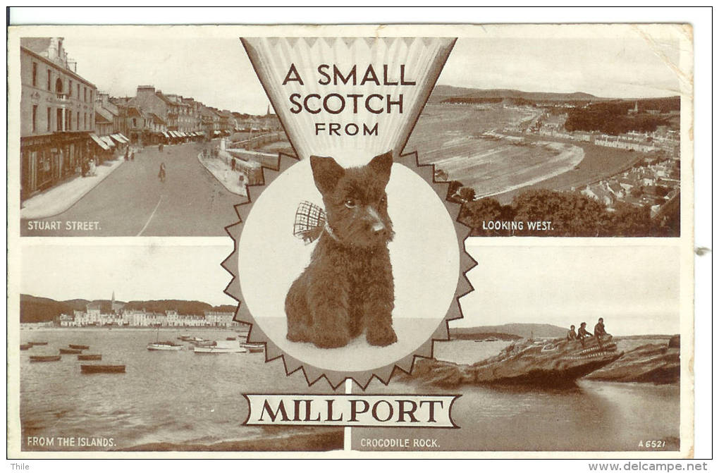 A Small Scotch From MILLPORT - Ayrshire