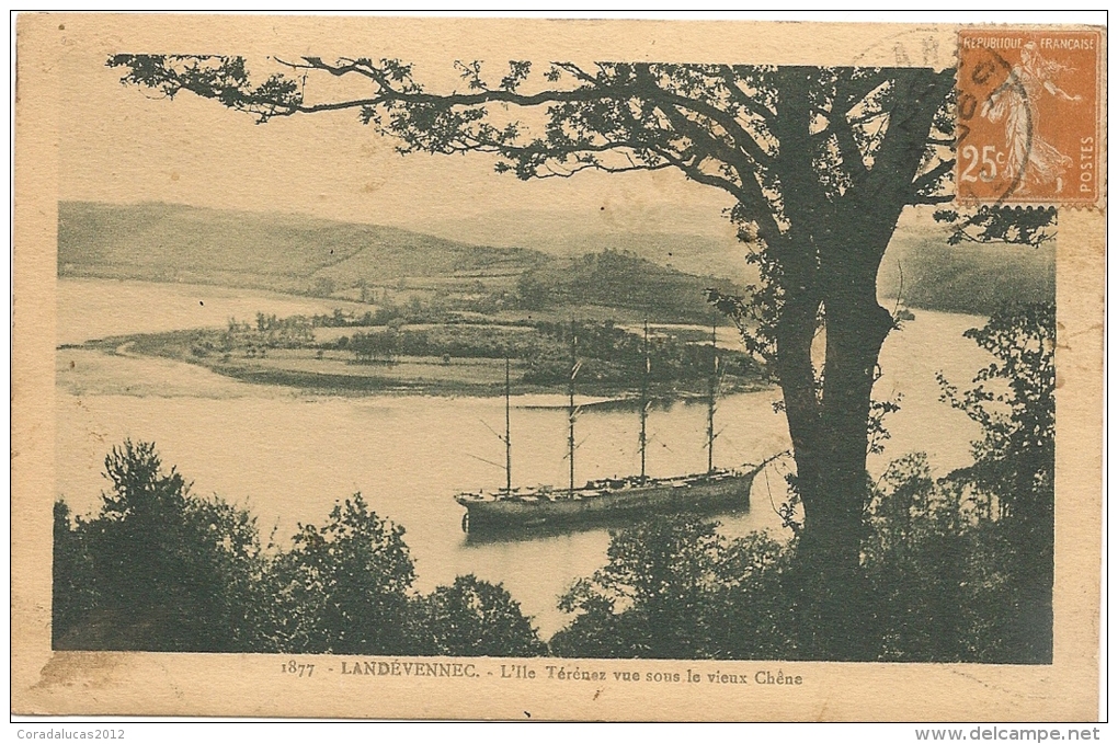 LANDEVENNEC---L'ILE TERENEZ VUE SOUS LE VIEUX CHENE - Landévennec