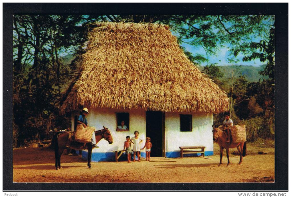 RB 932 - Ethnic Panama Postcard - Typical Hut In A Mountain Village - Family &amp; Horses - Panama