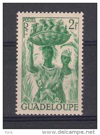 Guadeloupe Y/T   Nr 203* (a6p3) - Ungebraucht