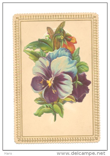 Carton Avec Bords Structurés Et Découpis - Fleur - Pensée (b125) - Fleurs
