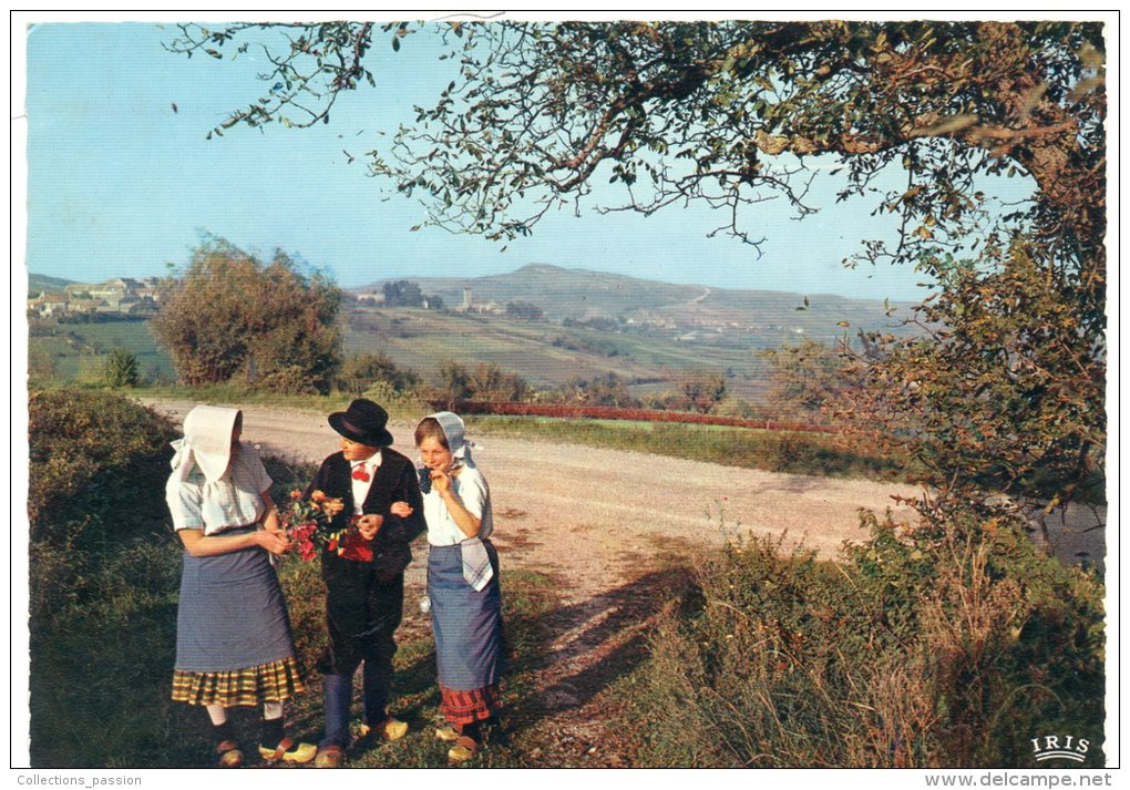 CP, LA BOURGOGNE PITTORESQUE, Retour De Vendanges, Rencontre Sous Le Vieux Noyer, Ecrite En 1970 - Vignes