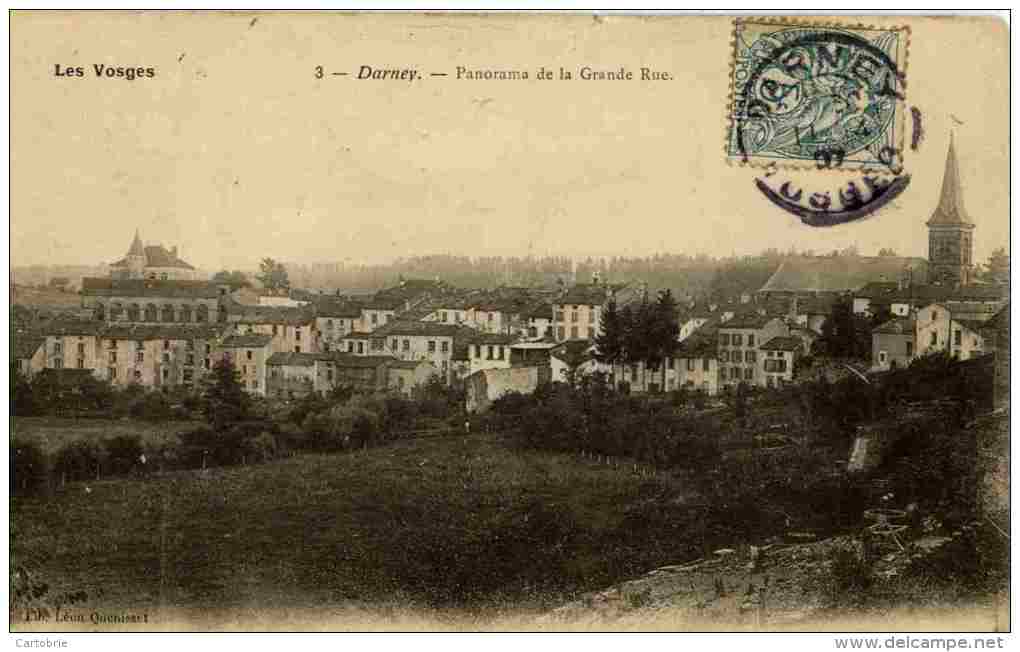 88 - DARNEY - Panorama De La Grande Rue - Darney