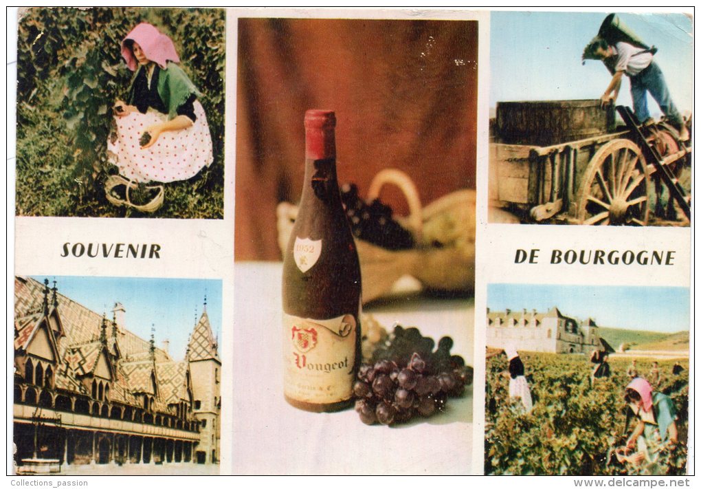 CP, LA BOURGOGNE, Multivues, Voyagé En 1966 - Viñedos