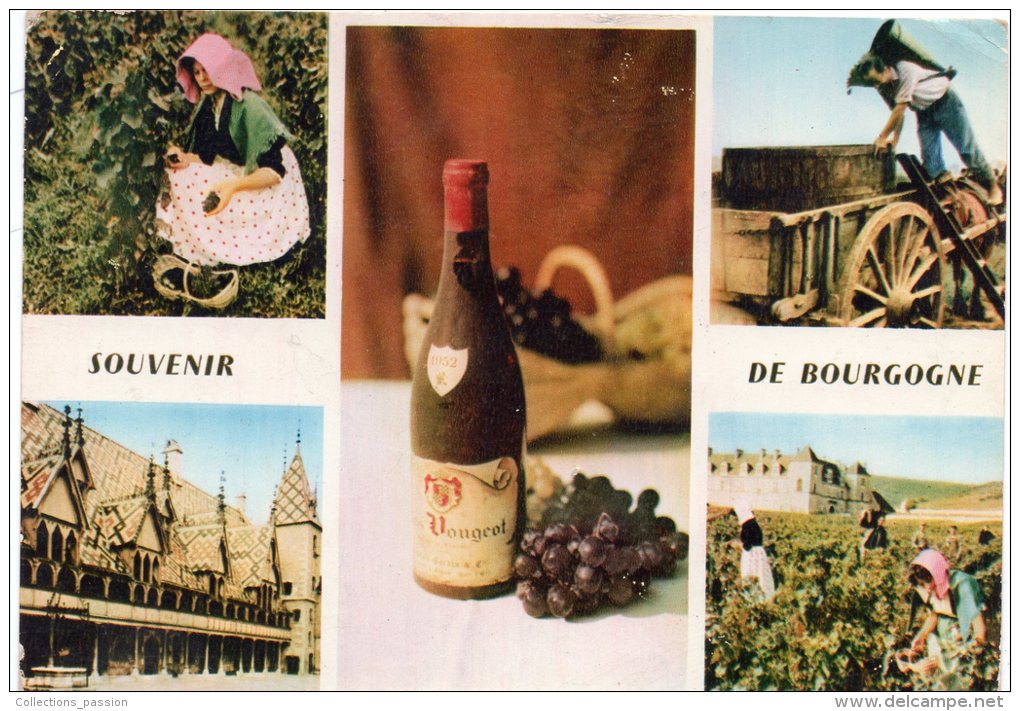 CP, LA BOURGOGNE, Multivues, Voyagé En 1966 - Wijnbouw