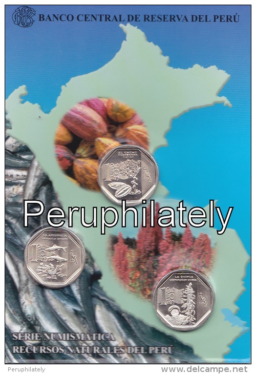 PERU 2013, NATURAL RESOURCES , 1 NUEVO SOL , COIN ON CARD , MINT - Perú