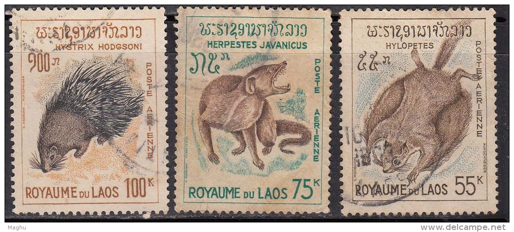 Laos 1965 Used, 3v Fauna Series,  Squiral, Mangoose, Chinese Porcupine, Rodents, Animal, Rodent - Rodents