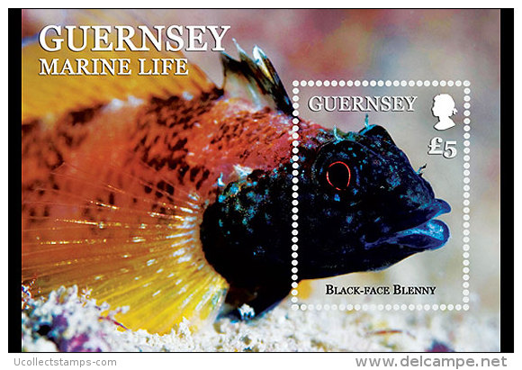 GUERNSEY  2012 FISH  VISSEN BLOK-M/S  Postfris/mnh/neuf - Unused Stamps