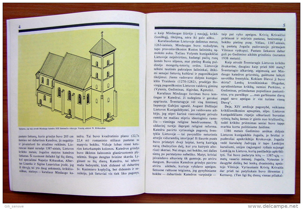 Lithuanian Book / Sventaragio Slenis (Sventaragis Valley) By D. Juozenas - Culture