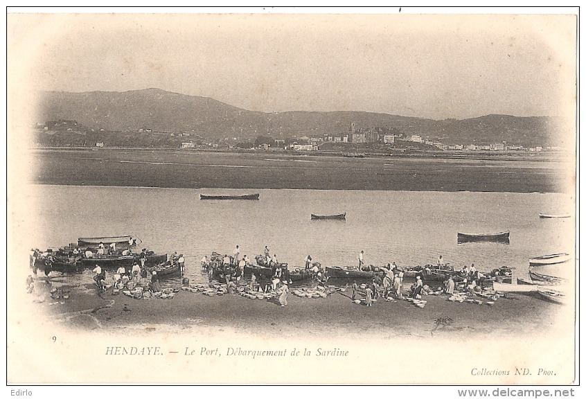 -64-  HENDAYE -  Le Port Débarquement De La Sardine - Neuve Excellent état - Hendaye