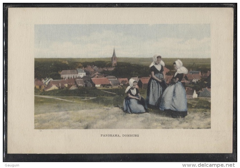 CPA - DOMBURG - PANORAMA - Edition F.B.Den Boer - Domburg