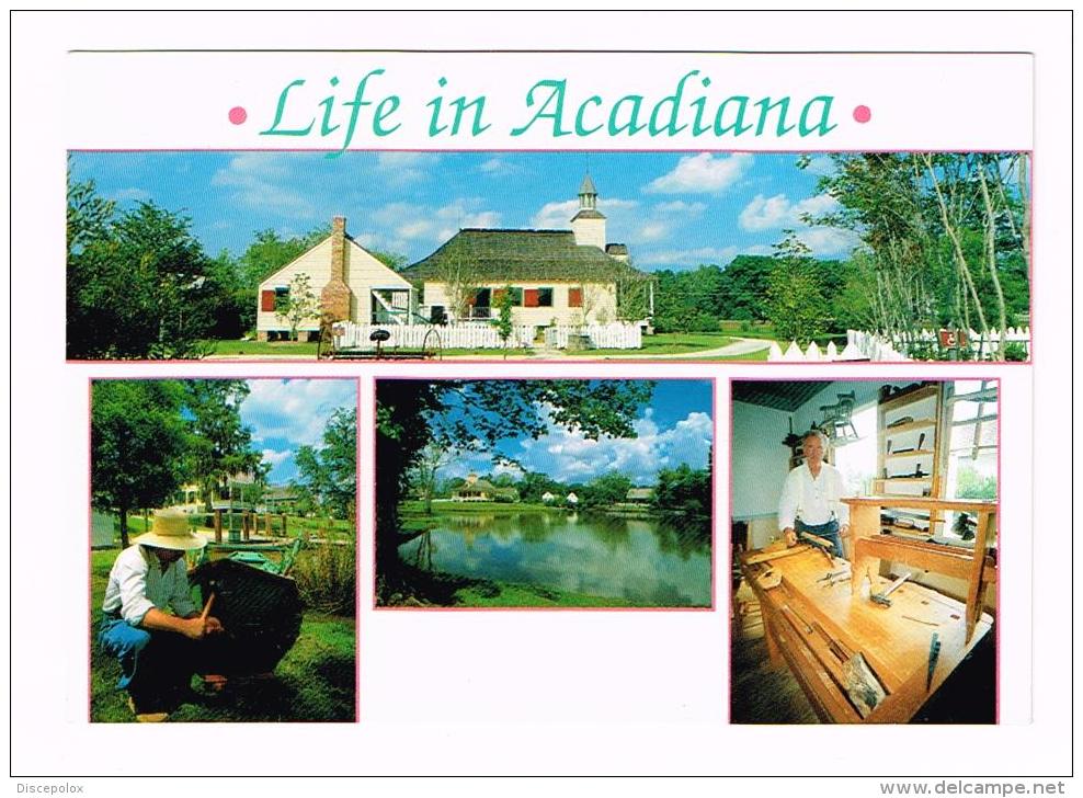 C2926 Life In Acadiana / Non Viaggiata - Other & Unclassified