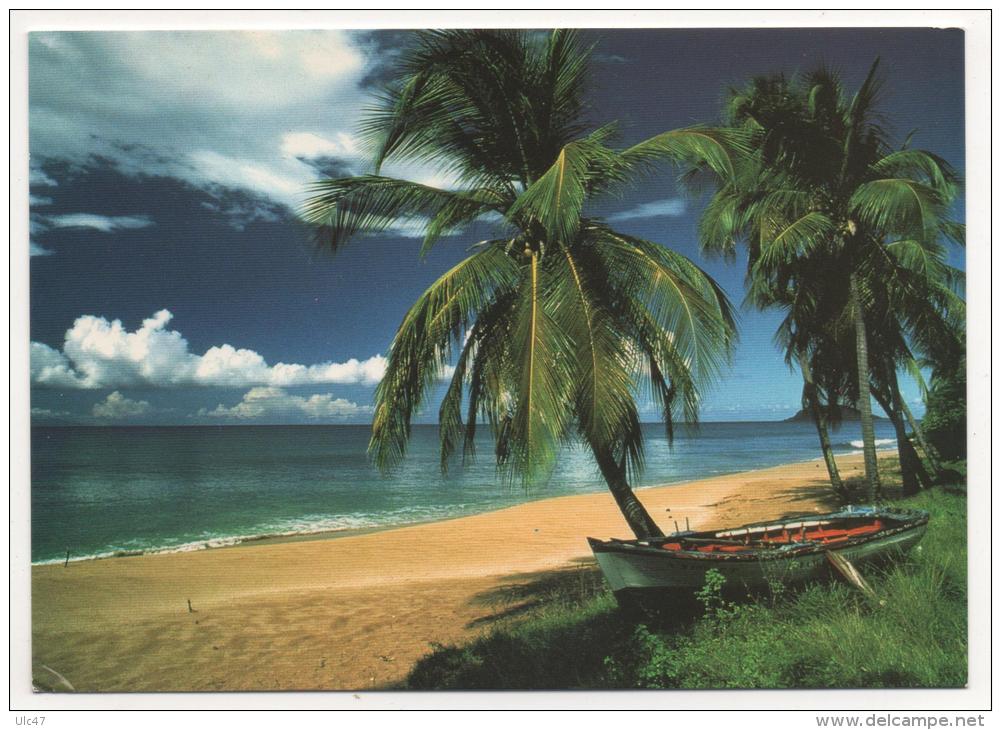 - GUADELOUPE. - Lot De 29 Cartes De Guadeloupe. -  Toutes Scanées - (port En Plus) - - 5 - 99 Cartoline