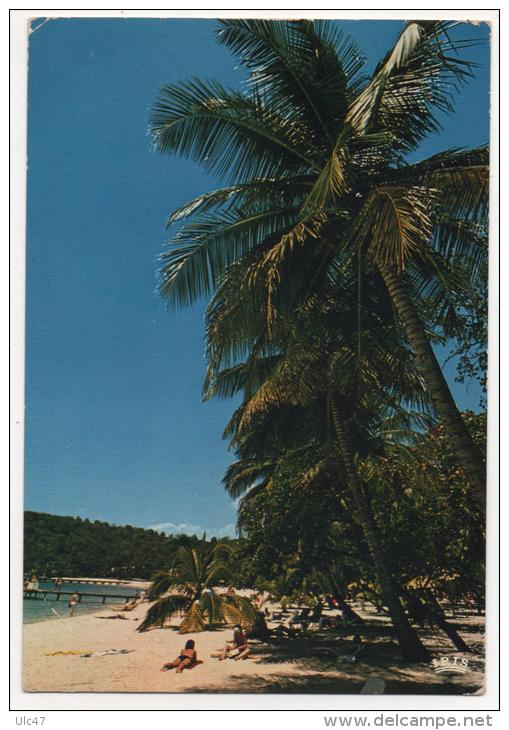 - GUADELOUPE. - Lot De 29 Cartes De Guadeloupe. -  Toutes Scanées - (port En Plus) - - 5 - 99 Cartoline