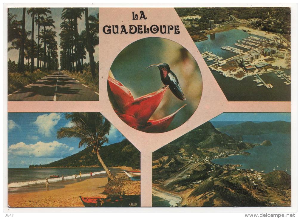 - GUADELOUPE. - Lot de 29 cartes de Guadeloupe. -  toutes scanées - (port en plus) -