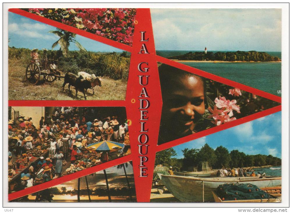 - GUADELOUPE. - Lot de 29 cartes de Guadeloupe. -  toutes scanées - (port en plus) -