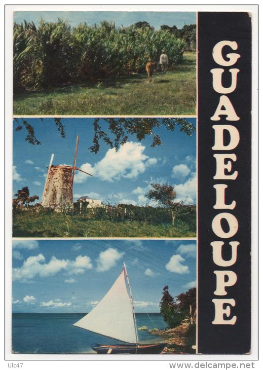 - GUADELOUPE. - Lot de 29 cartes de Guadeloupe. -  toutes scanées - (port en plus) -