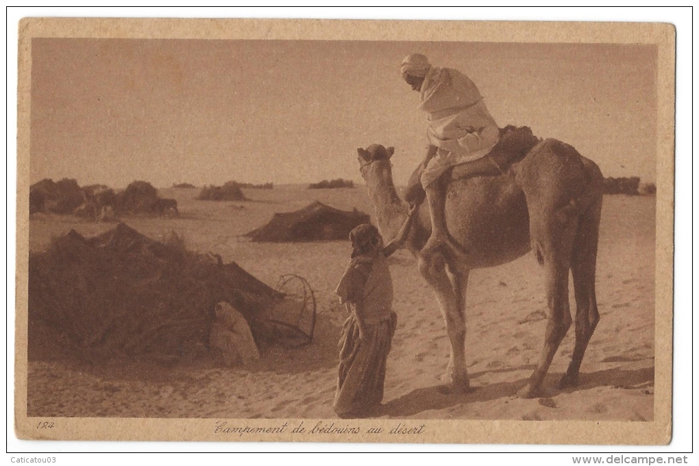 TUNISIE - Edition  Lehnert &Landrock  - Campement De Bédouins Au Désert - N°184 - Tunisie