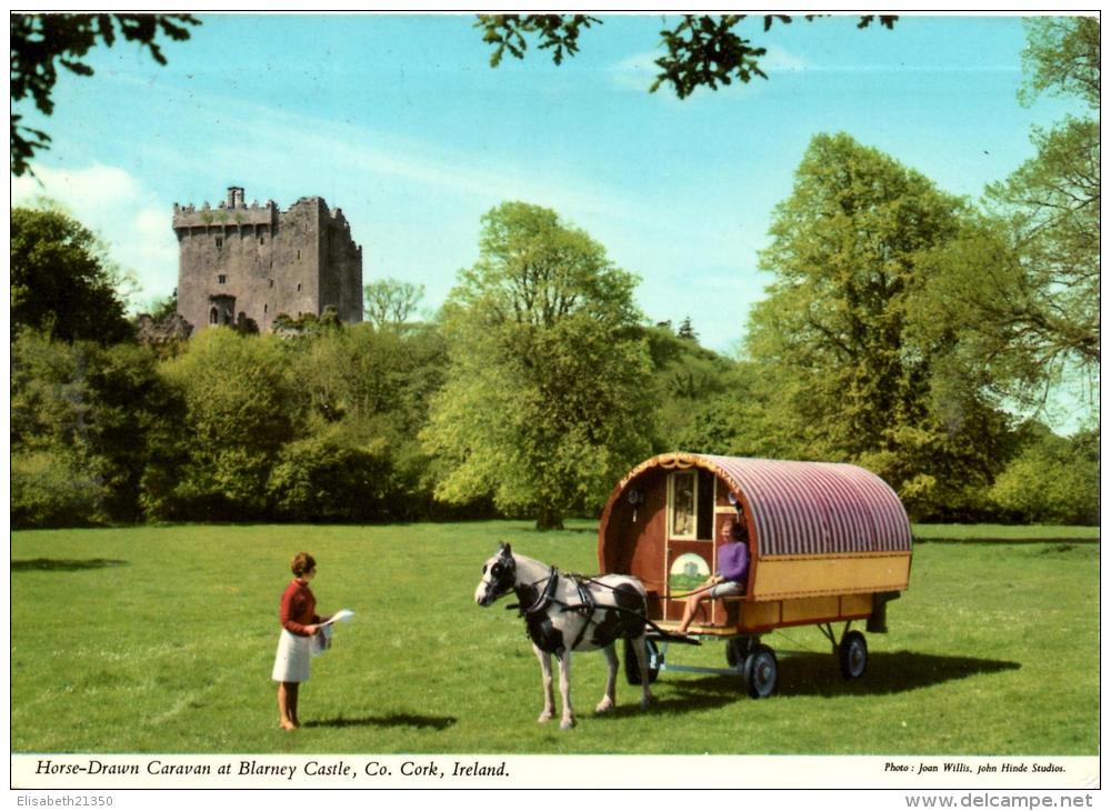 CORK : Une Roulotte Devant Le Château - Cork