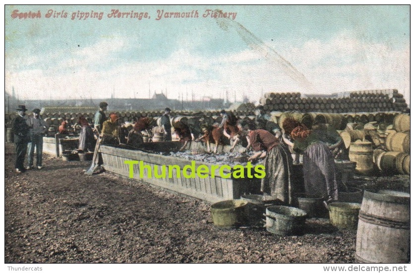 SCOTCH GIRLS GIPPING HERRINGS YARMOUTH FISHERY - Great Yarmouth