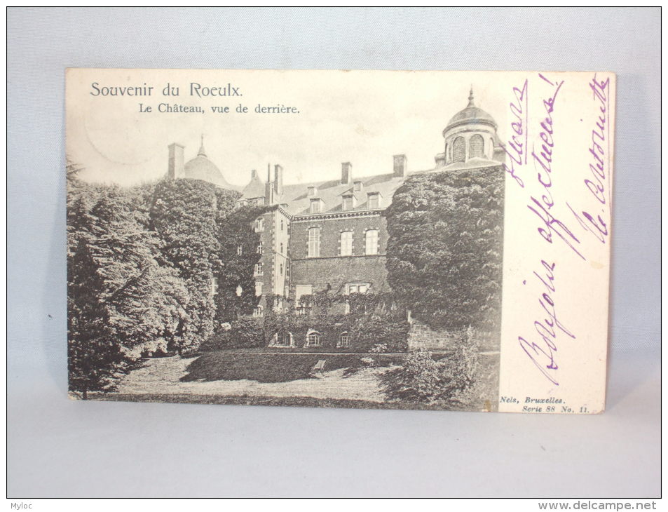 Souvenir Du Roeulx. Le Château Vu De Derrière. Nels.1903 - Le Roeulx