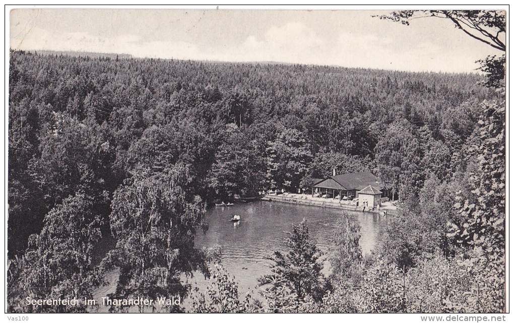 CPA,THARANDT,THARANDTER WALD,FOREST,VILLA,GERMANY - Tharandt