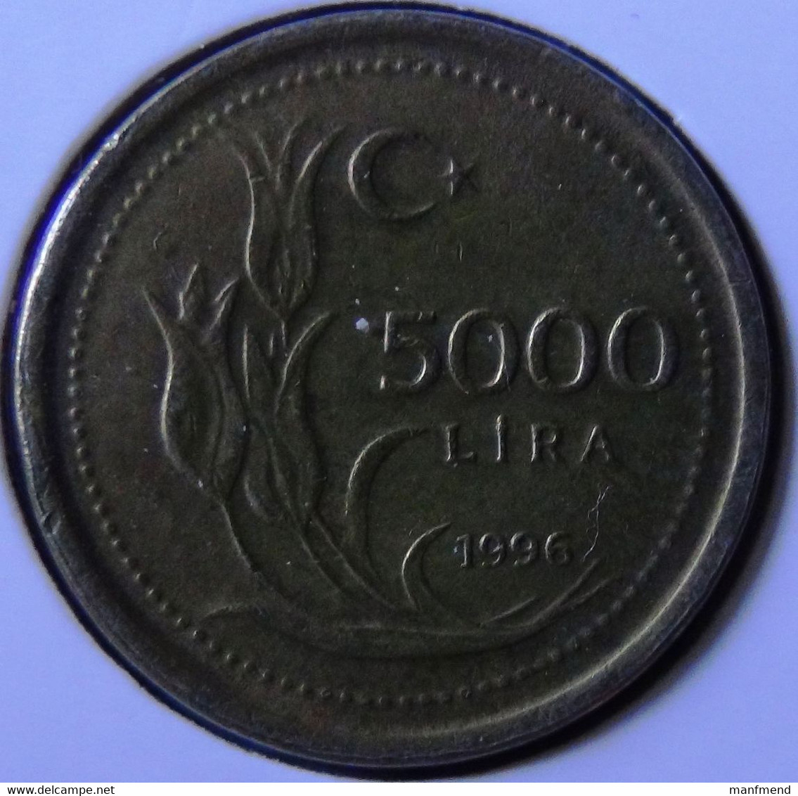 Turkey - 1996 - 5000 Lira - KM.1029.1 - VF - Türkei