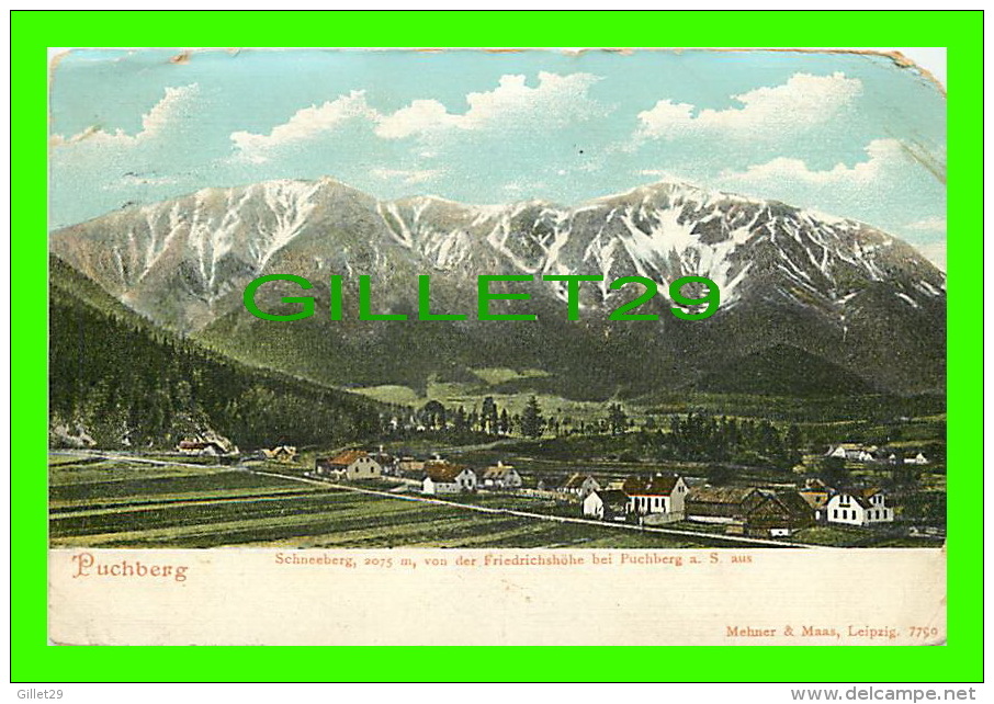 PUCHBERG, AUSTRIA - SCHNEEBERG, 2075 M, VON DER FRIEDRICHSHOHE BEI PUCHBERG A. S. Aus - MEHNER & MAAS - TRAVEL IN 1911 - - Neunkirchen