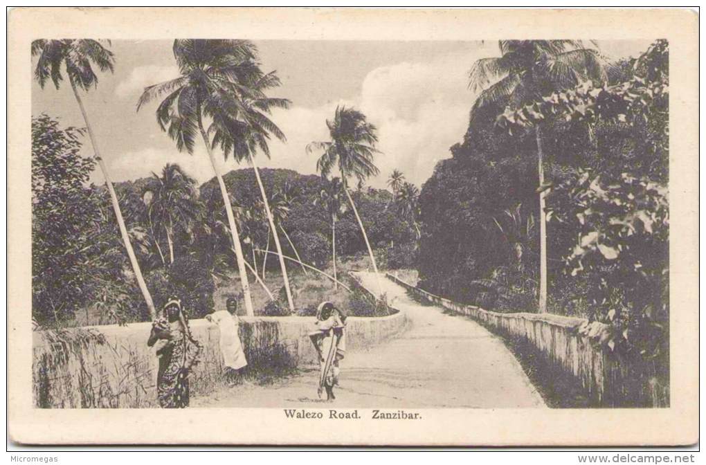 ZANZIBAR - Walezo Road - Tansania