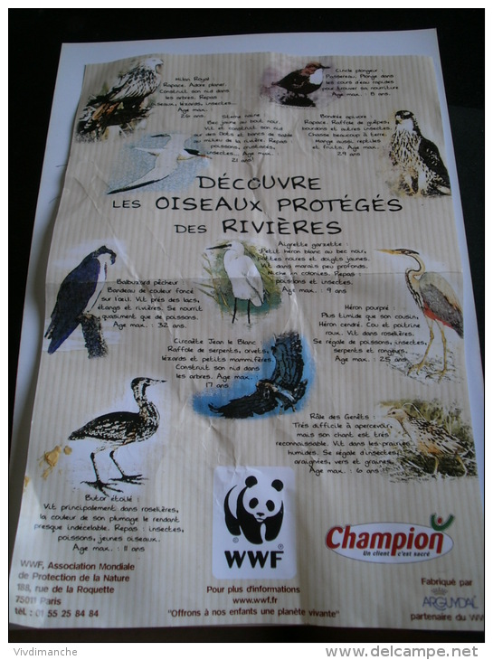 FEVE BRILLANTE -  LES OISEAUX PROTEGES DES RIVIERES -  BUTOR ETOILE - WWF - Animali