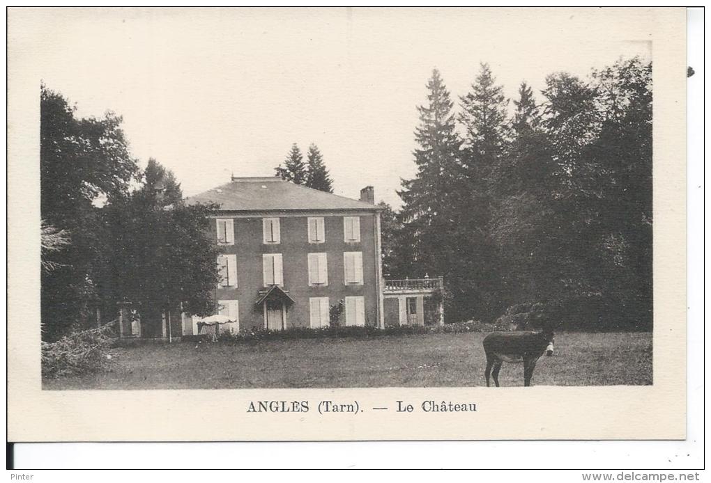 ANGLES - Le Château - Angles