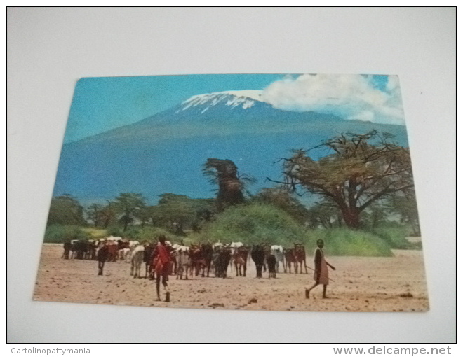 Kenya  Masai Herdsmen With Mt. Kilimanjaro In Back Ground  Francobolli Conchiglie Mucche - Kenia