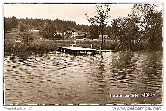 AK Seeshaupt am Starnberger See -1. 7.64 - 18 8124 SEESHAUPT nach Weiss b. Köln