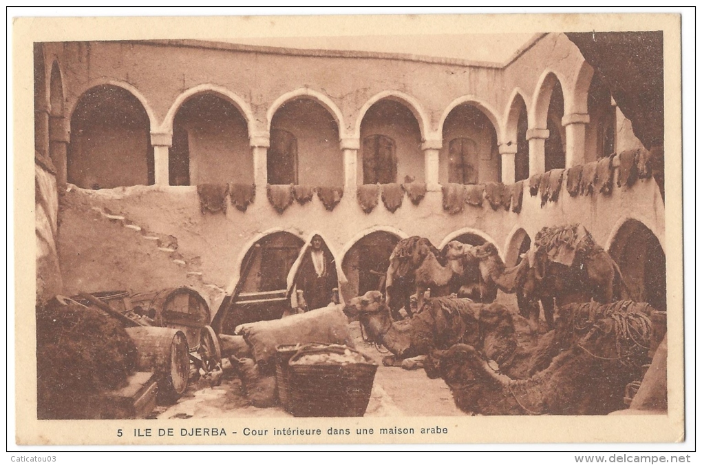 ILE DE DJERBA (Tunisie)- Cour Intérieure D´une Maison Arabe - Chameaux - Peaux De Moutons Sèchant Au Soleil - N°5 - Tunisie