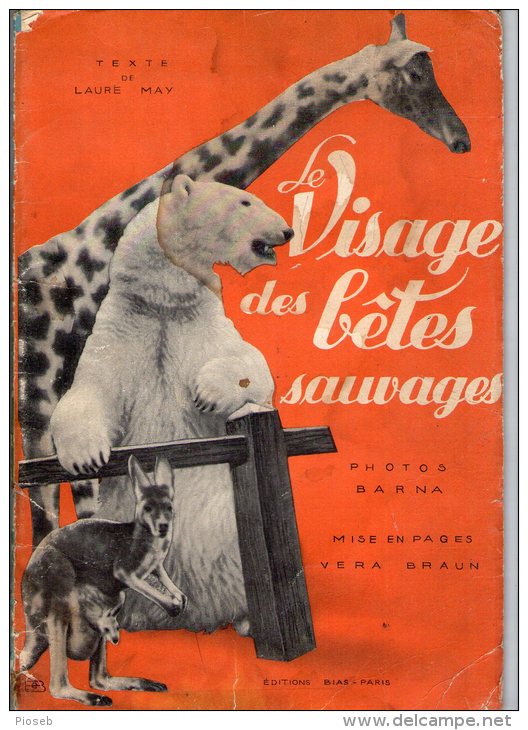 Le Visage Des Bêtes Sauvages, Texte De Laure May. Photos BARNA. Mise En Page Vera Braun. - Autres & Non Classés