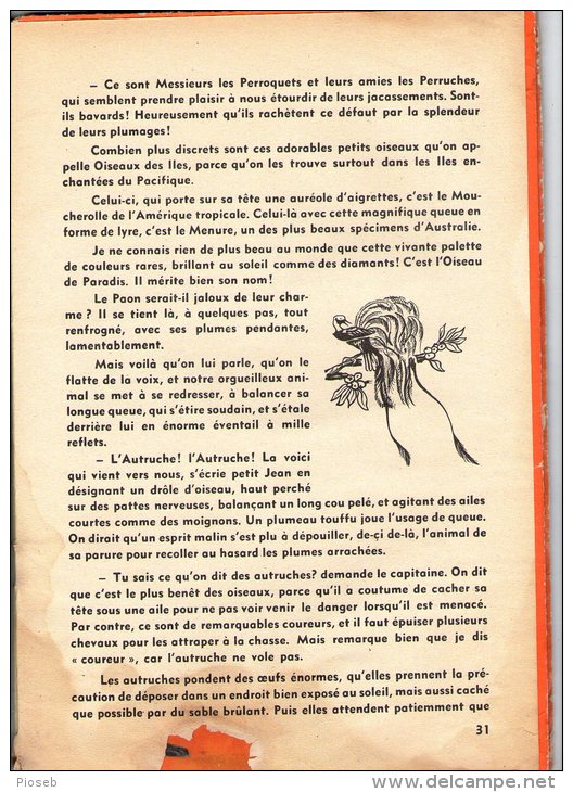 Le Visage Des Bêtes Sauvages, Texte De Laure May. Photos BARNA. Mise En Page Vera Braun. - Autres & Non Classés