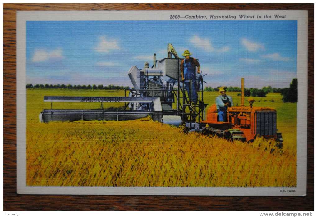 Combine Harvesting Wheat In The West Moissonneuse Batteuse - Tracteurs
