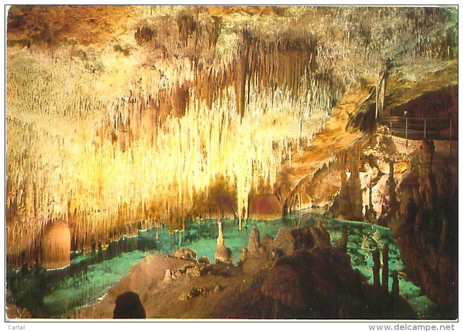 CPM - MALLORCA - Porto Cristo - Cuevas Del Drach - Banos De Diana (Cliché Servera, 6) - Mallorca