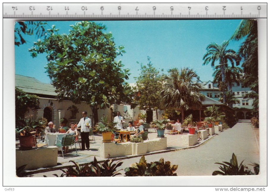 Kingston - Royal Jamaica Yacht Club ( Myrtle Bank Patio) - Jamaïque