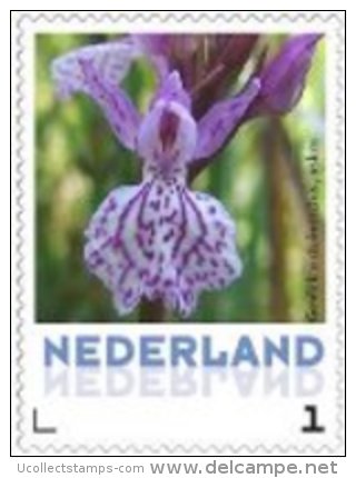 Nederland  2013-3  Ucollect  Orchideen 8 Gevrlekte Duin Orchis Postfris/mnh/neuf - Neufs