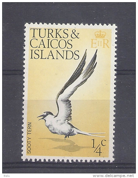 Turks & Caicos Inseln 1/4C ** MNH 1973 Bird Vogel Sooty Tern SG 381 Yv 311 - Turks & Caicos (I. Turques Et Caïques)