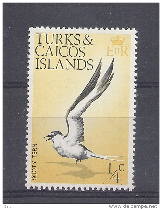 Turks & Caicos Inseln 1/4C ** MNH 1973 Bird Vogel Sooty Tern SG 381 Yv 311 - Turks And Caicos