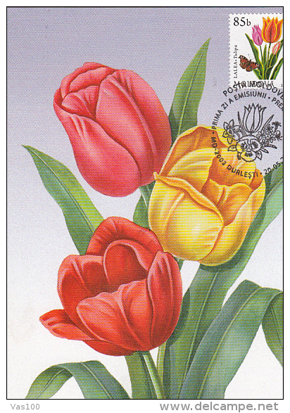 TULIPS, FLOWERS, CM, MAXICARD, CARTES MAXIMUM, OBLIT FDC, 2011, MOLDOVA - Autres & Non Classés