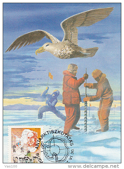 ANTARKTIK EXPLORERS, SEAGULLS, DOGS, CM, MAXICARD, CARTES MAXIMUM, 1987, HUNGARY - Esploratori