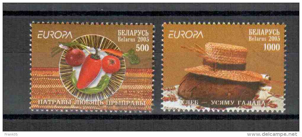 Weissrussland / Belarus / Biélorussie 2005 Satz/set EUROPA Gestempelt/used - 2005