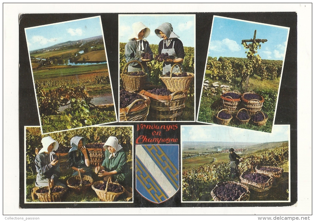 Cp, Agriculture, Scènes De Vendanges Et Paysages Champenois, Multi-Vues, Voyagée - Wijnbouw