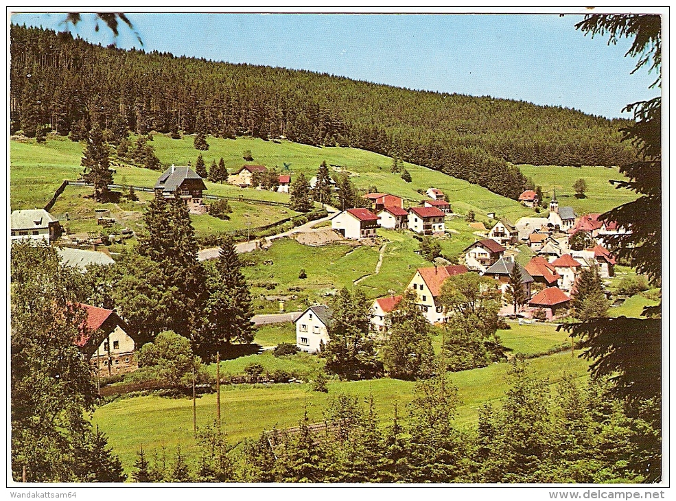 AK 7711 Hammereisenbach Südl. Schwarzwald, 800-1000 M ü. M. 12. 6. 77-08 743 FURTWANGEN 1 Höhenluftkurort Größte Histori - Furtwangen