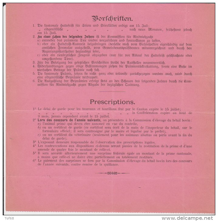 Certificat De Prime 1907 Canton De Berne Commission D'élevage Du Betail Bovin - Suiza